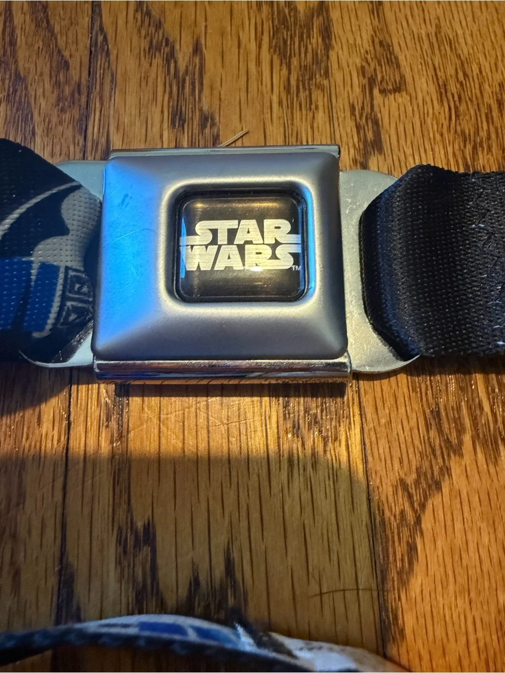 Buckle-Down Star Wars R2-D2 Seatbelt Belt